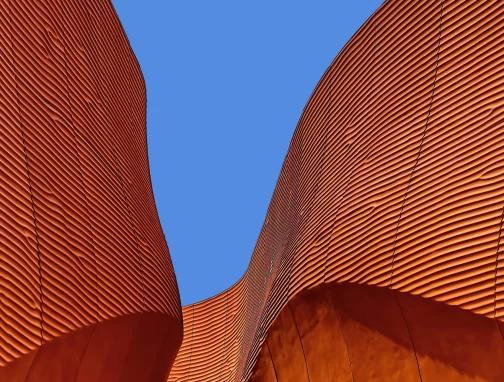 Curves Curves