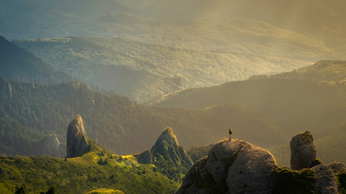 landscape with grassy hills